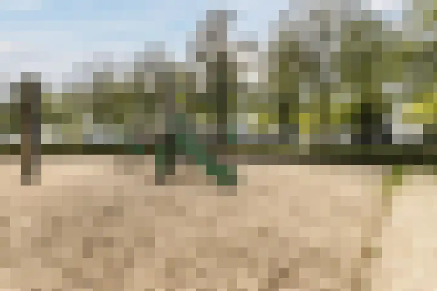 Meerloseweg 26 Uden thumbnail 46