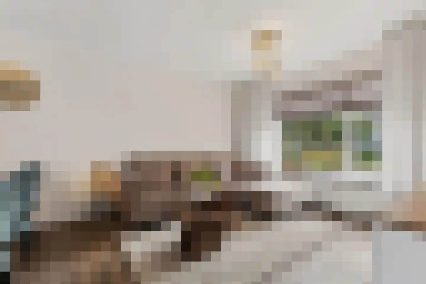 Meerloseweg 26 Uden thumbnail 6