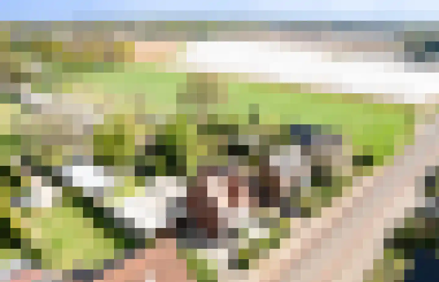 Meerloseweg 27 in Wanssum