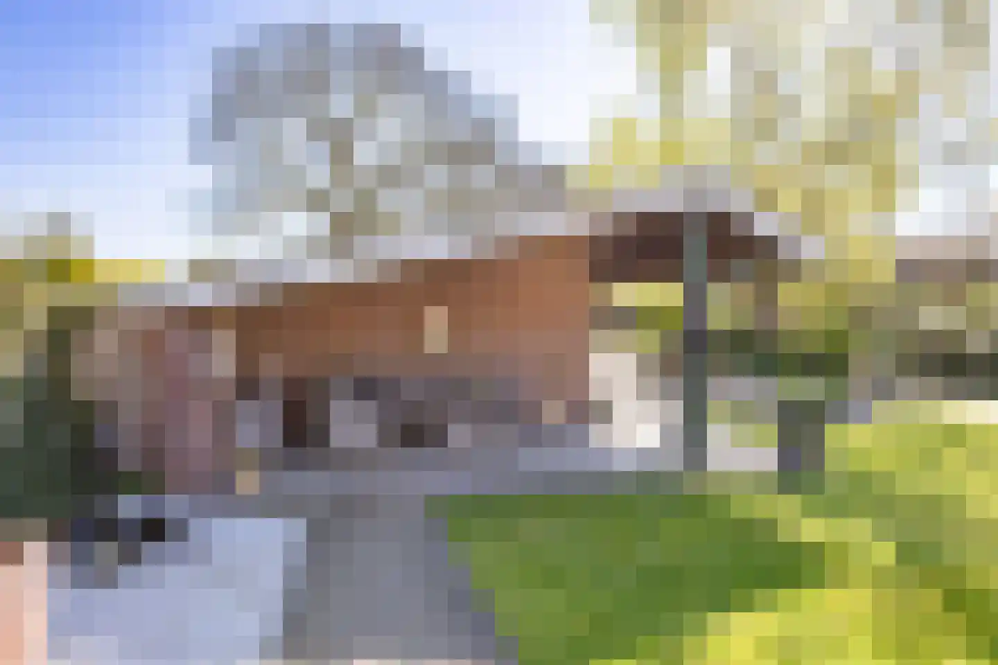 Meerloseweg 27 Wanssum thumbnail 38