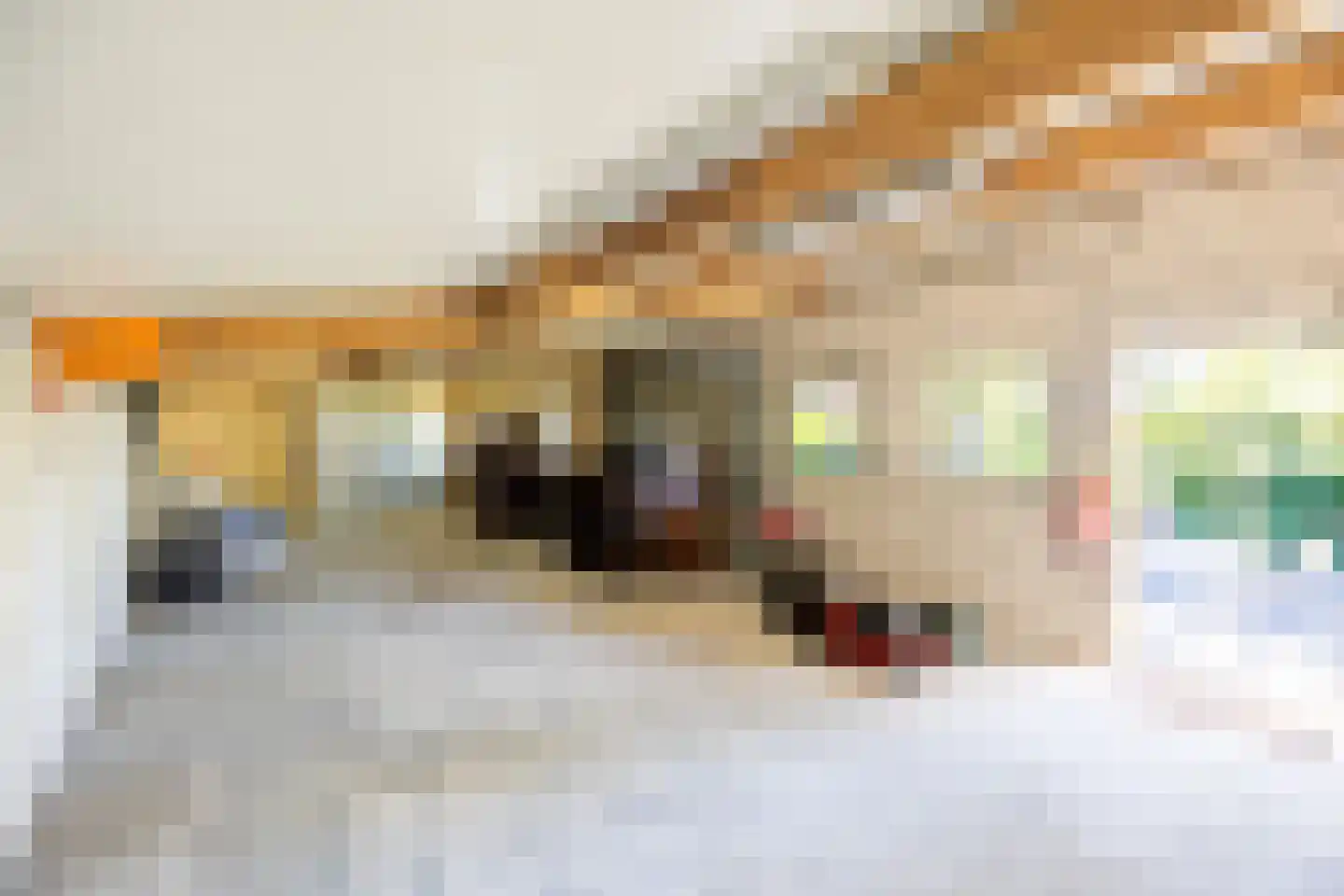 Meerloseweg 27 Wanssum thumbnail 39