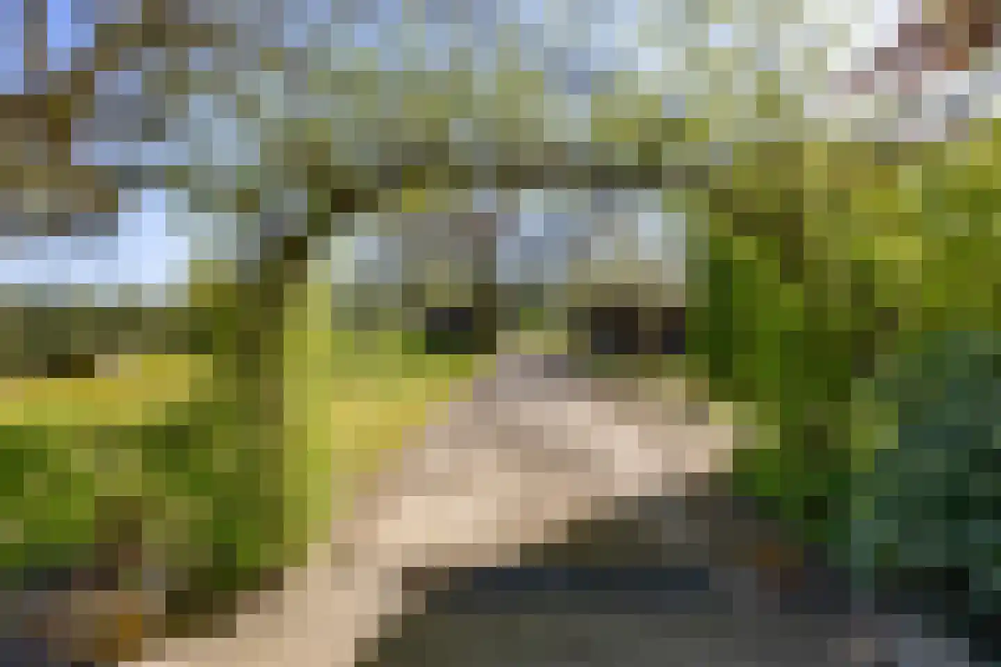 Meerloseweg 27 Wanssum thumbnail 41