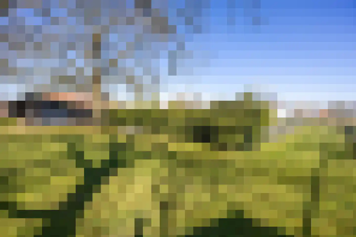 Meerloseweg 27 Wanssum thumbnail 45
