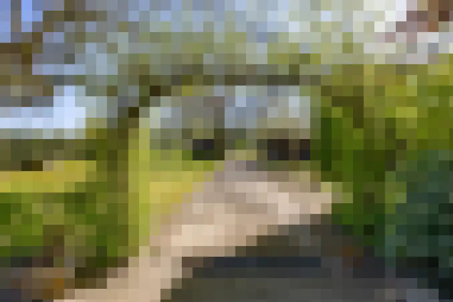 Meerloseweg 27 Wanssum thumbnail 6