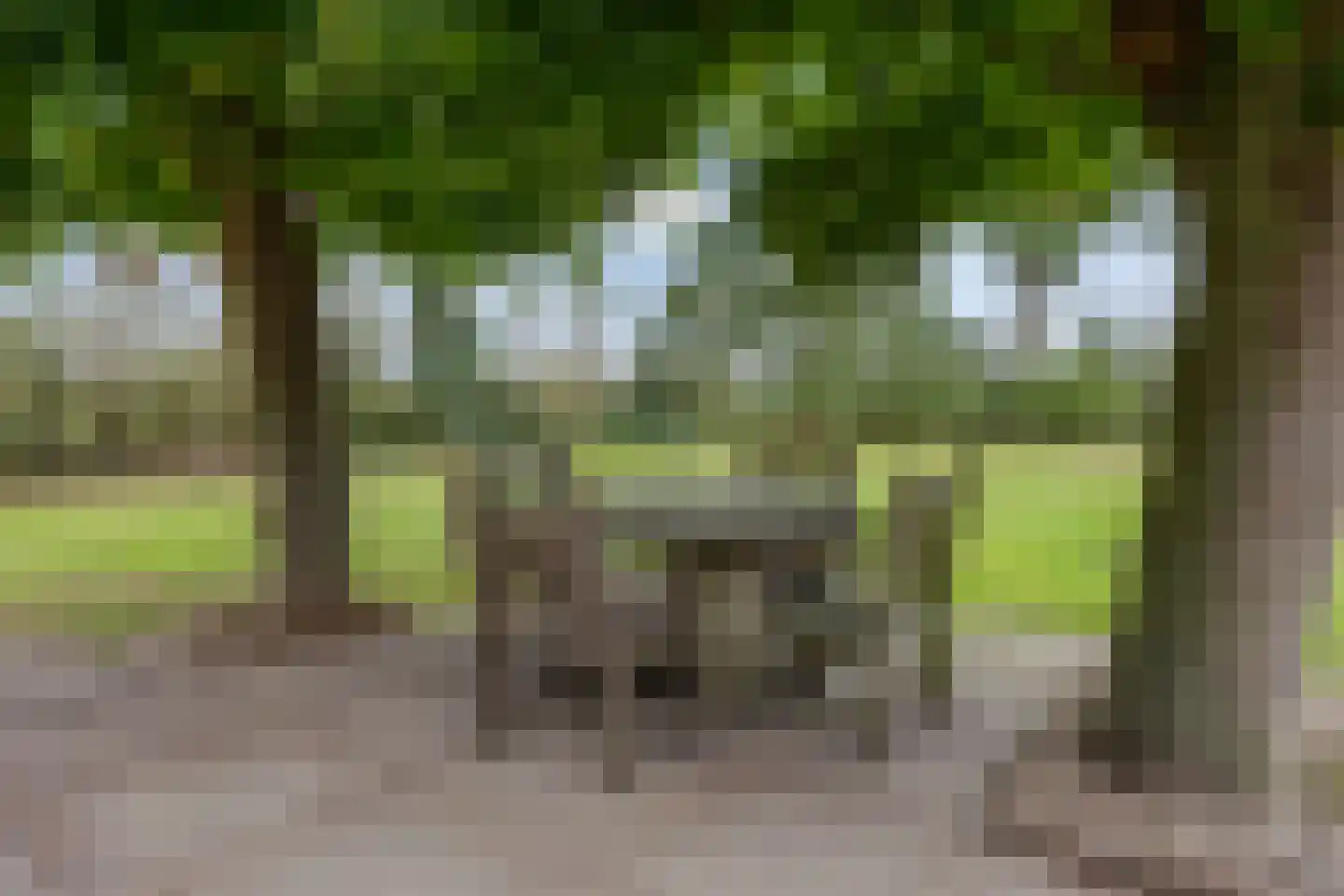 Meerloseweg 5 A Oirlo thumbnail 41