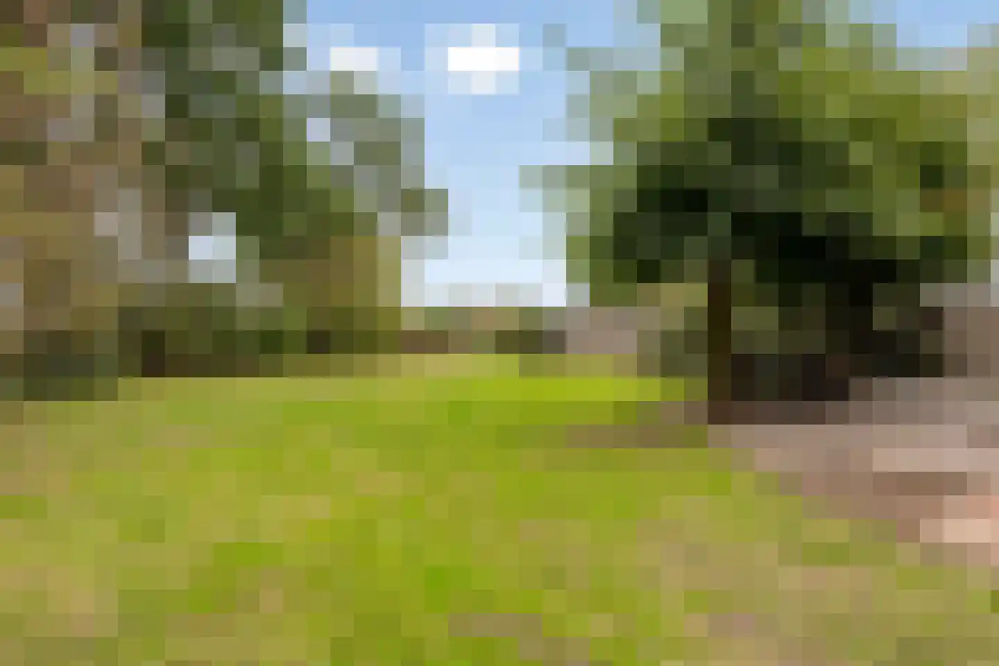 Meerloseweg 5 A Oirlo thumbnail 43