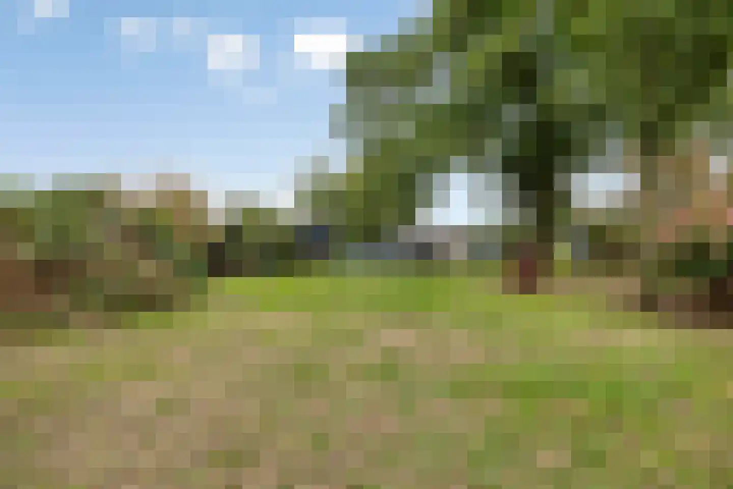 Meerloseweg 5 A Oirlo thumbnail 45