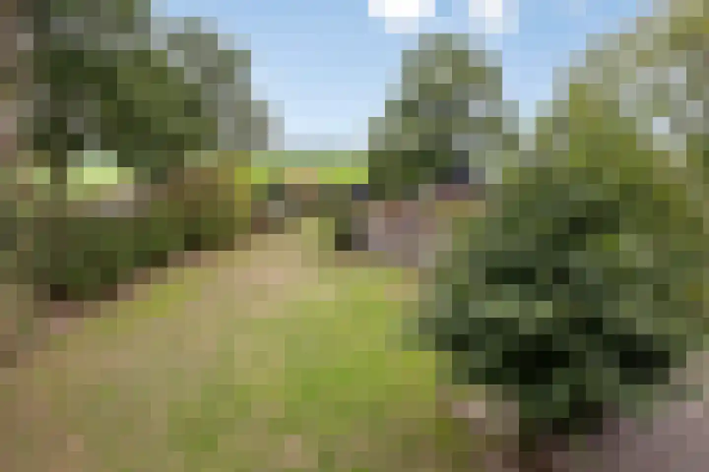 Meerloseweg 5 A Oirlo thumbnail 53