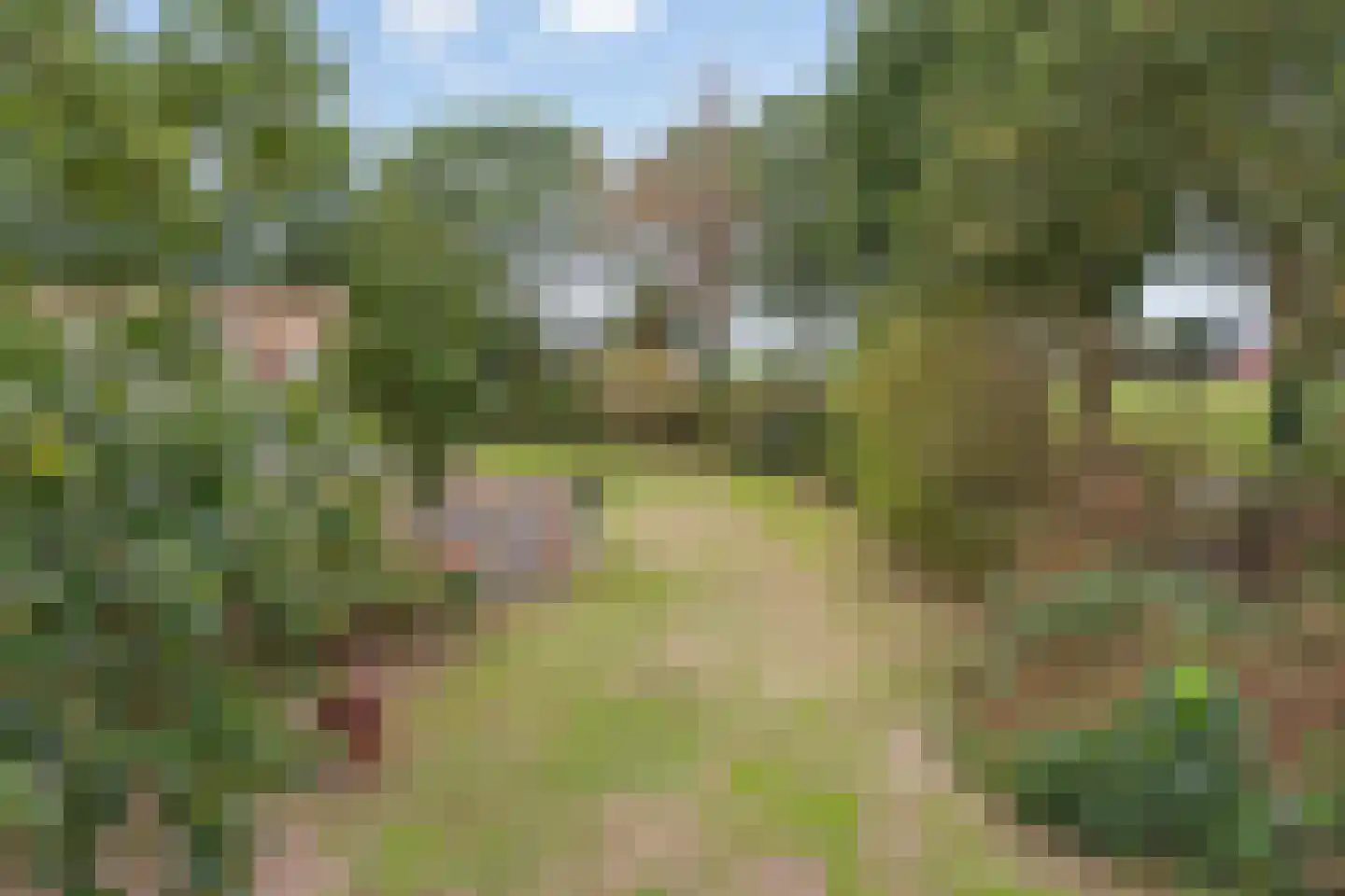 Meerloseweg 5 A Oirlo thumbnail 54