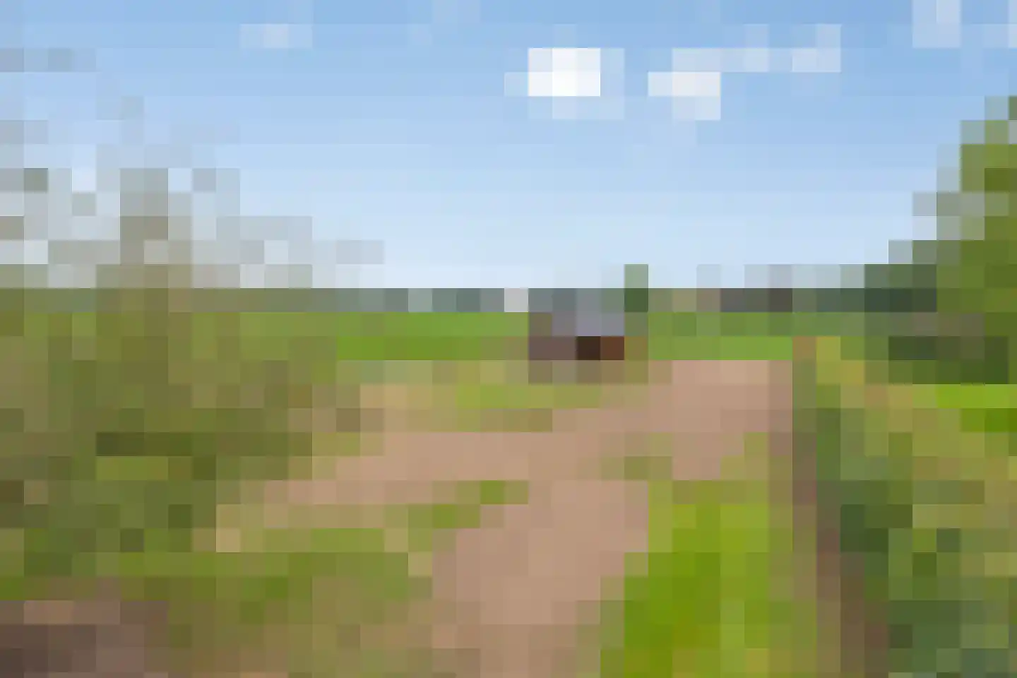 Meerloseweg 5 A Oirlo thumbnail 55