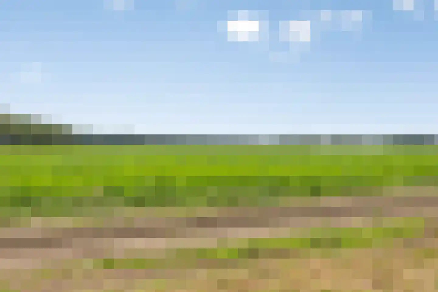 Meerloseweg 5 A Oirlo thumbnail 59