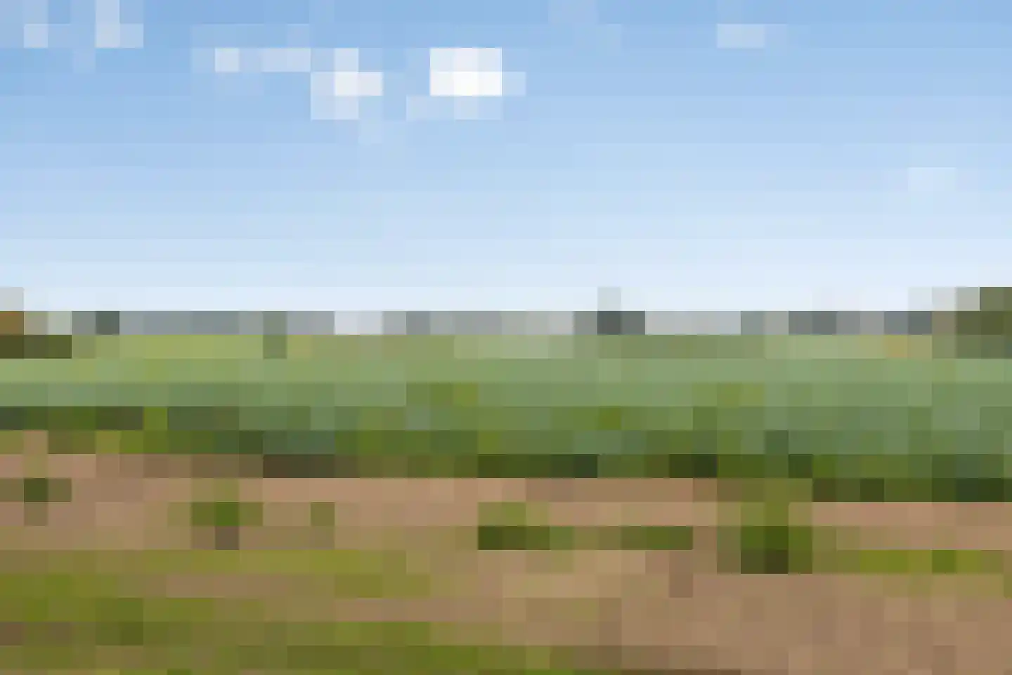 Meerloseweg 5 A Oirlo thumbnail 60