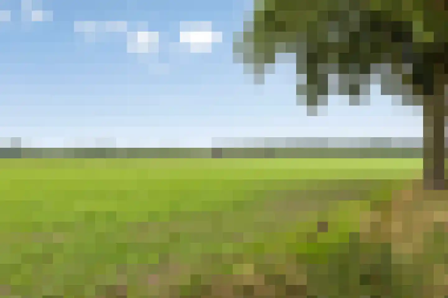 Meerloseweg 5 A Oirlo thumbnail 61