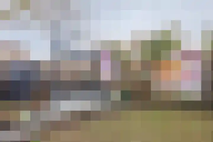 Meerloseweg 6 Wanssum thumbnail 30