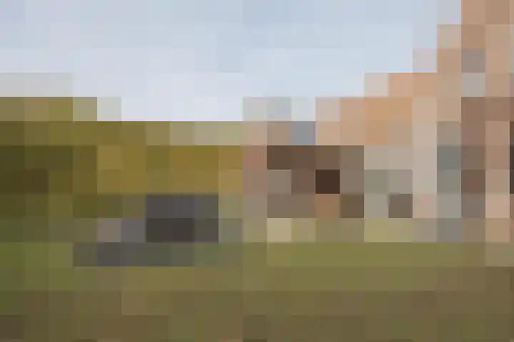 Meerloseweg 6 Wanssum thumbnail 31