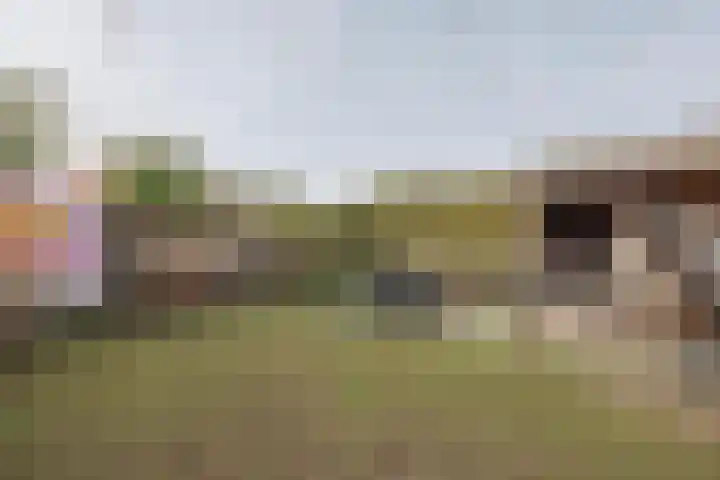 Meerloseweg 6 Wanssum thumbnail 32