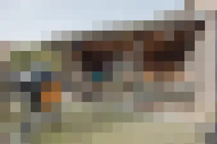 Meerloseweg 6 Wanssum thumbnail 33