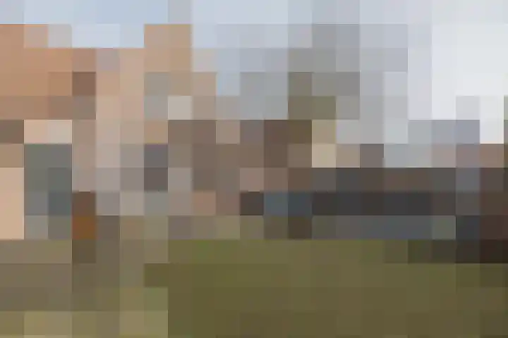 Meerloseweg 6 Wanssum thumbnail 34