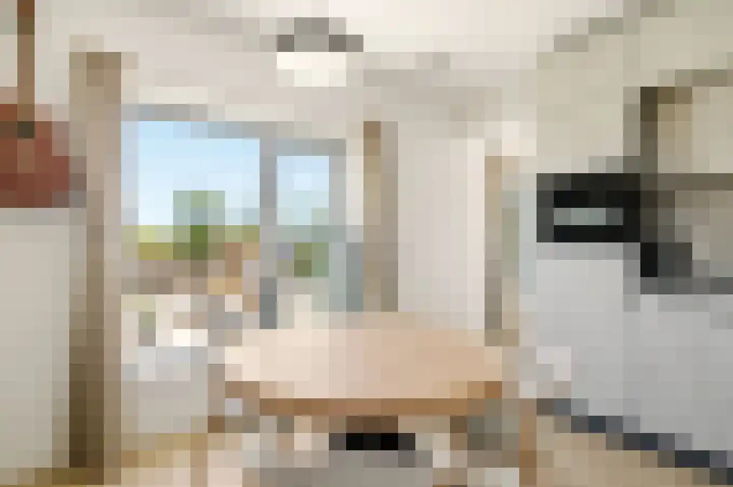 Meerluchtlaan 16 Amsterdam thumbnail 8