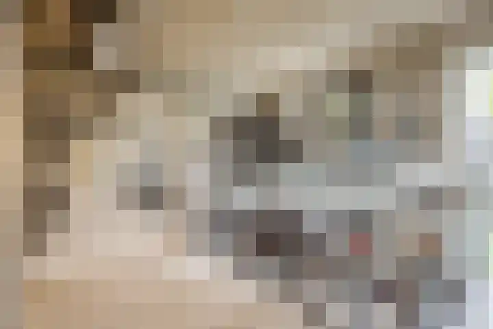 Meerluchtlaan 194 Amsterdam thumbnail 20