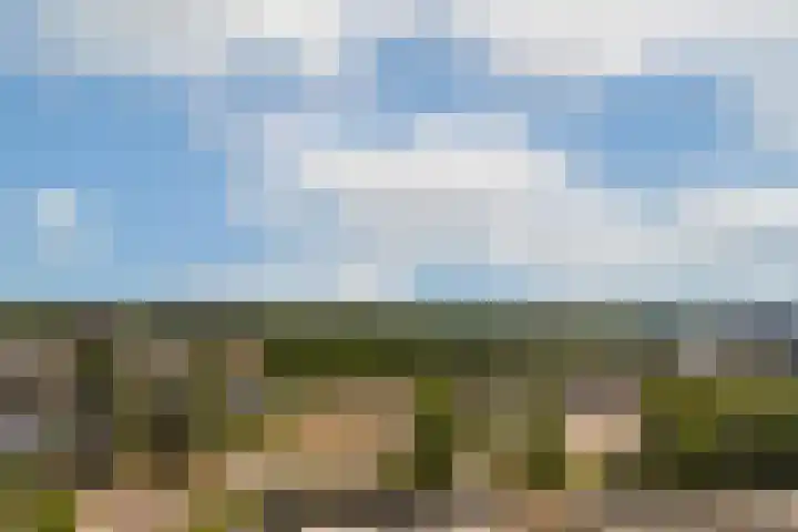 Meerluchtlaan 194 Amsterdam thumbnail 8