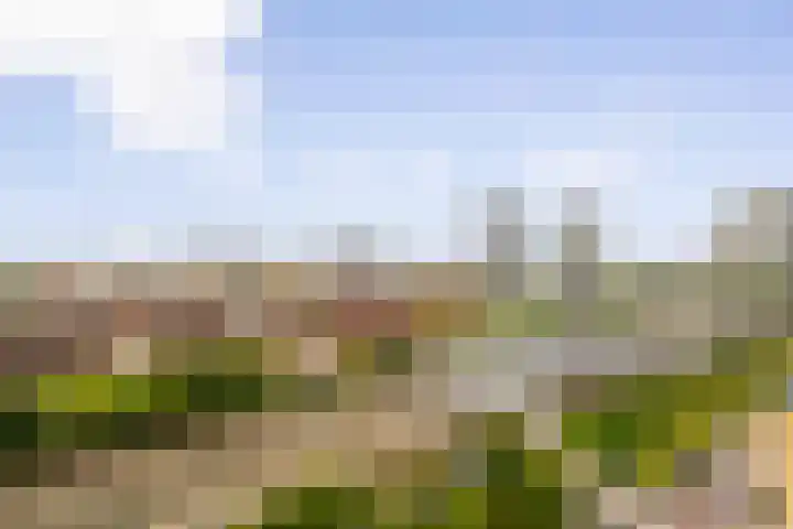 Meerluchtlaan 200 Amsterdam thumbnail 17