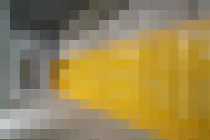 Meerluchtlaan 200 Amsterdam thumbnail 19