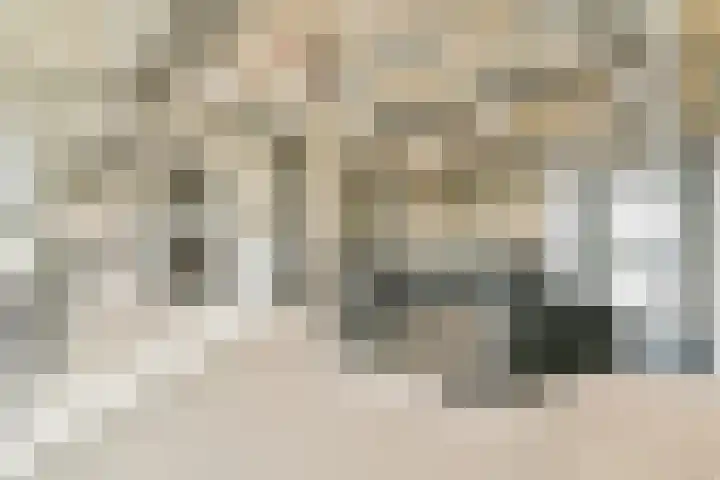 Meerluchtlaan 200 Amsterdam thumbnail 29
