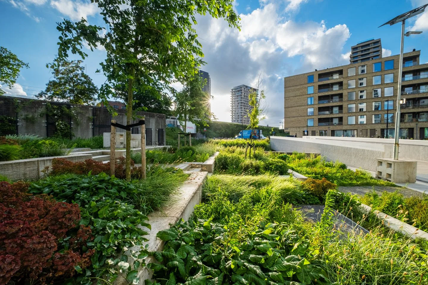 Meerluchtlaan 240 Amsterdam thumbnail 6