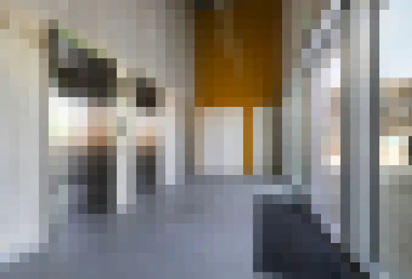 Meerluchtlaan 32 Amsterdam thumbnail 5