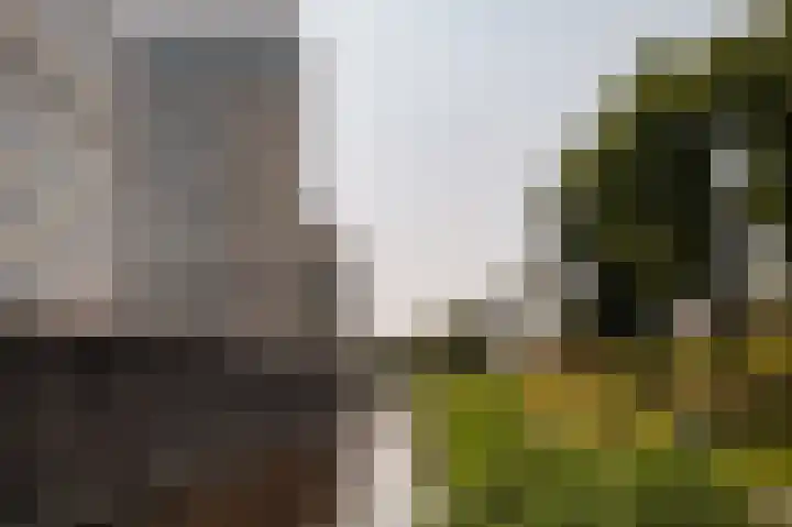 Meerluchtlaan 40 Amsterdam thumbnail 22