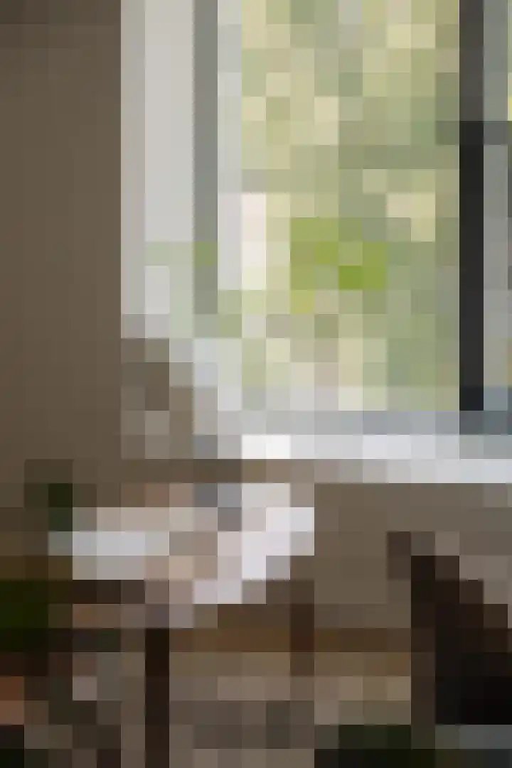 Meerluchtlaan 40 Amsterdam thumbnail 4