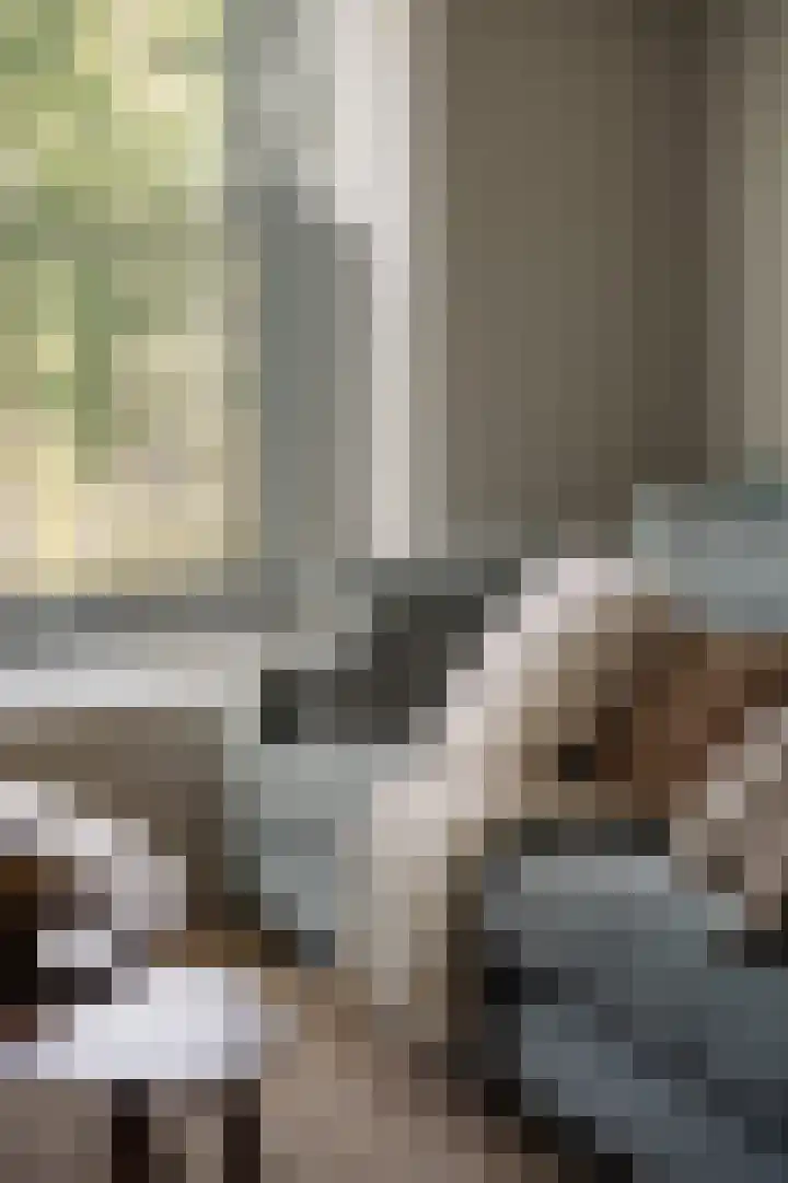 Meerluchtlaan 40 Amsterdam thumbnail 5