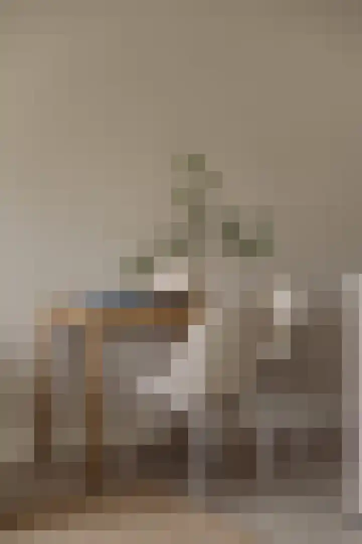Meerluchtlaan 40 Amsterdam thumbnail 8