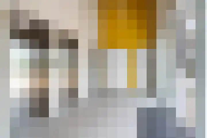 Meerluchtlaan 66 Amsterdam thumbnail 26