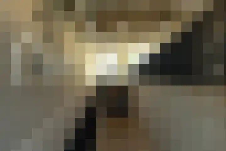 Meerluchtlaan 72 Amsterdam thumbnail 16