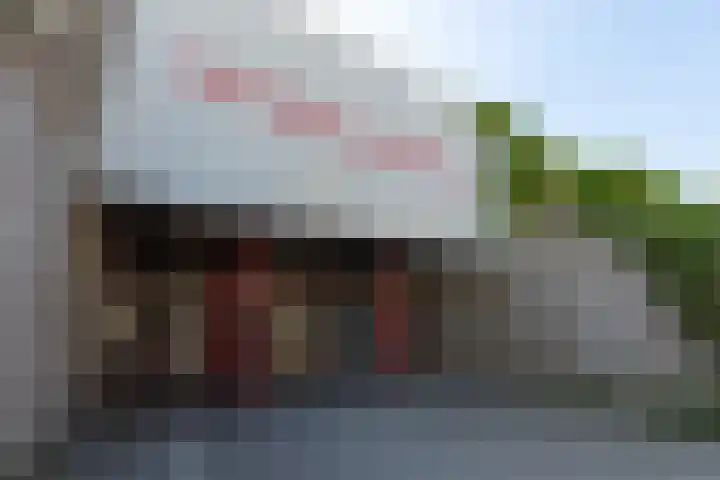 Meerluchtlaan 72 Amsterdam thumbnail 18