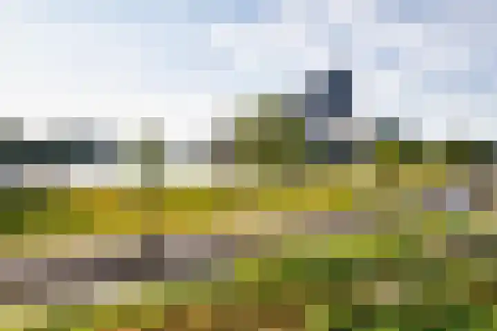 Meerluchtlaan 72 Amsterdam thumbnail 19