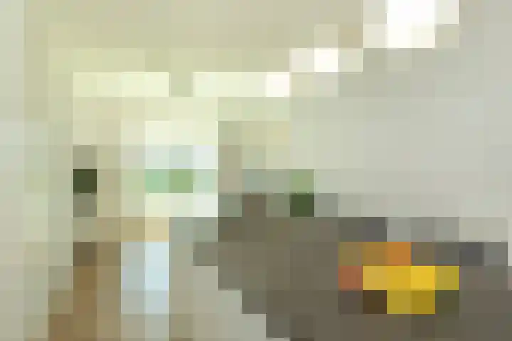 Meerluchtlaan 72 Amsterdam thumbnail 5