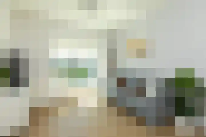 Meerluchtlaan 72 Amsterdam thumbnail 6