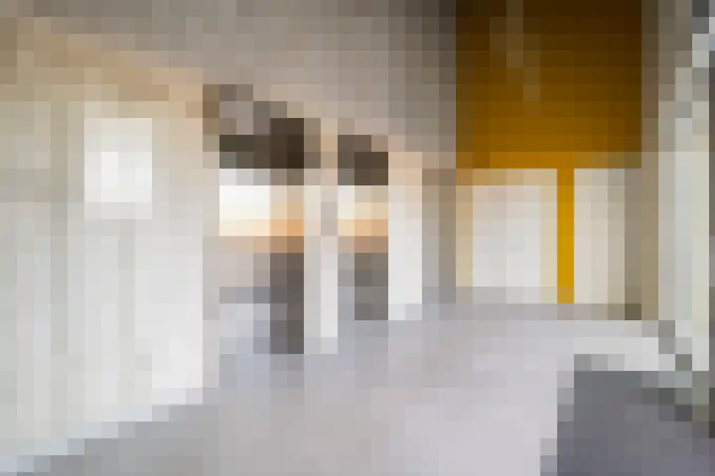 Meerluchtlaan 74 Amsterdam thumbnail 15