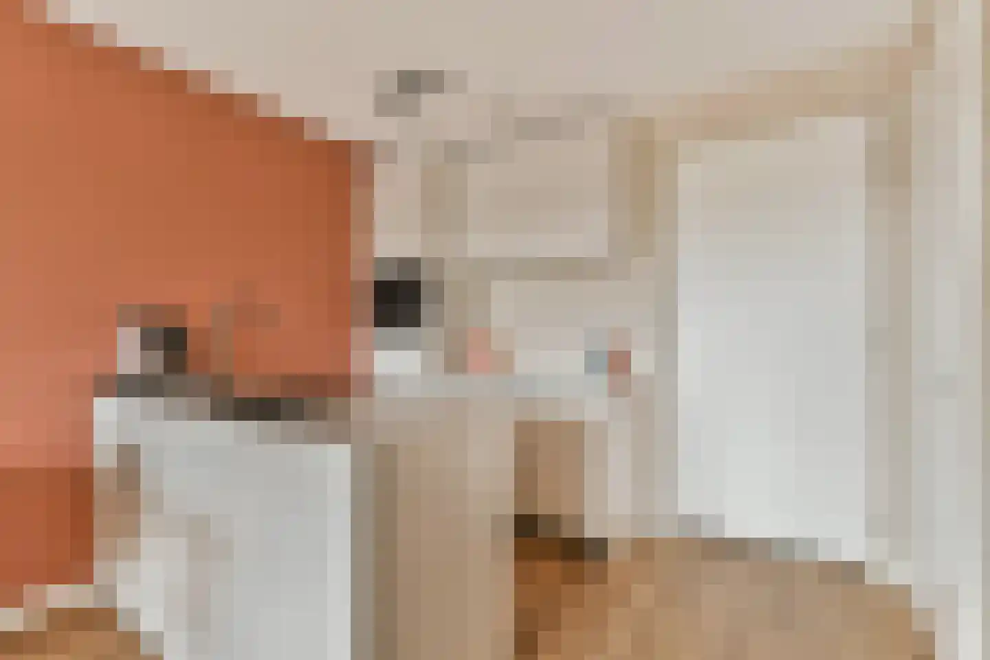 Meerluchtlaan 84 Amsterdam thumbnail 4