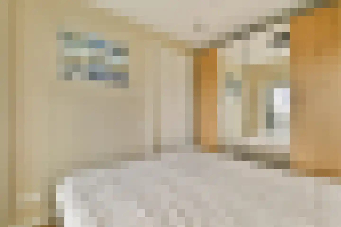 Meerluchtlaan 84 Amsterdam thumbnail 8