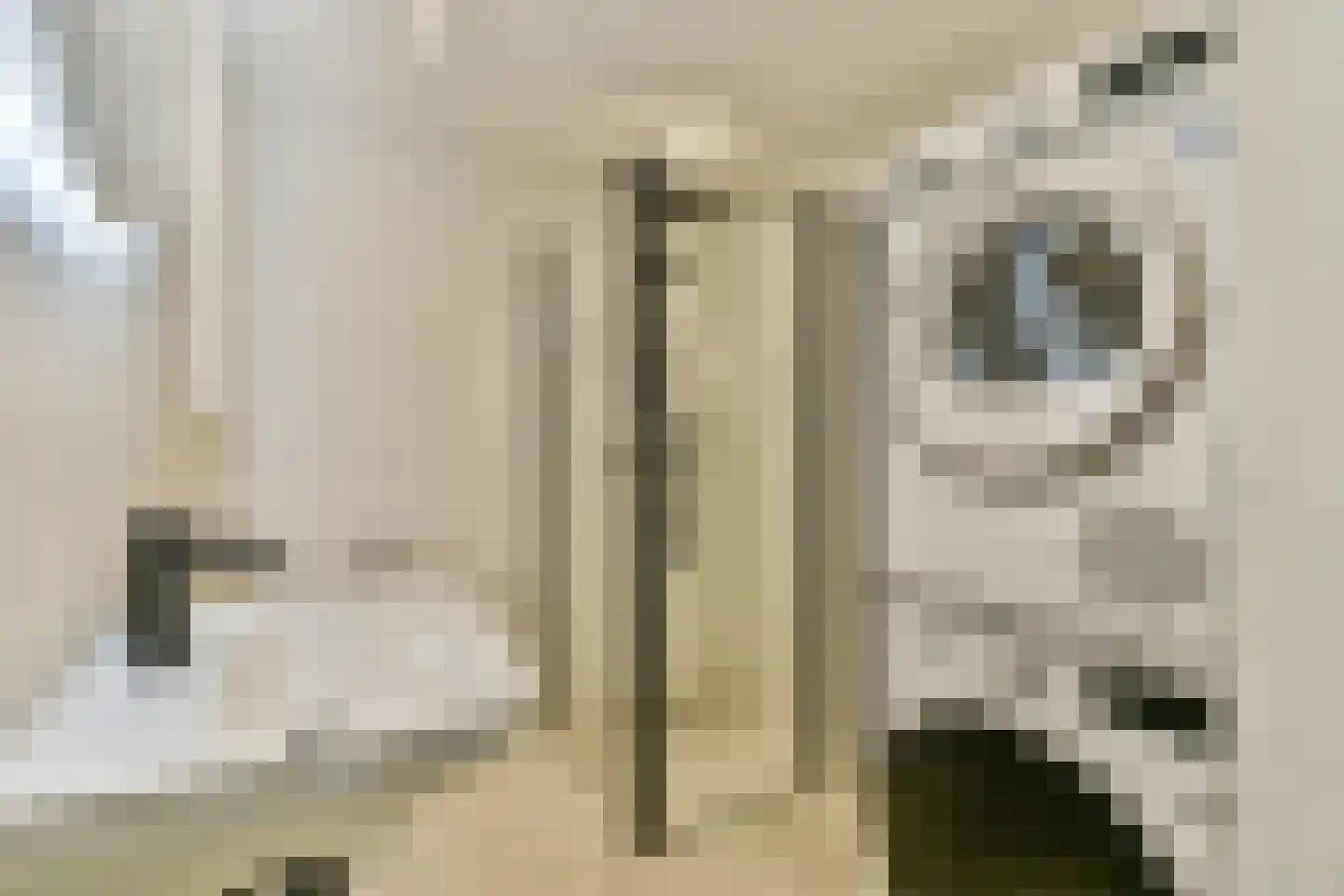 Meerluchtlaan 84 Amsterdam thumbnail 9