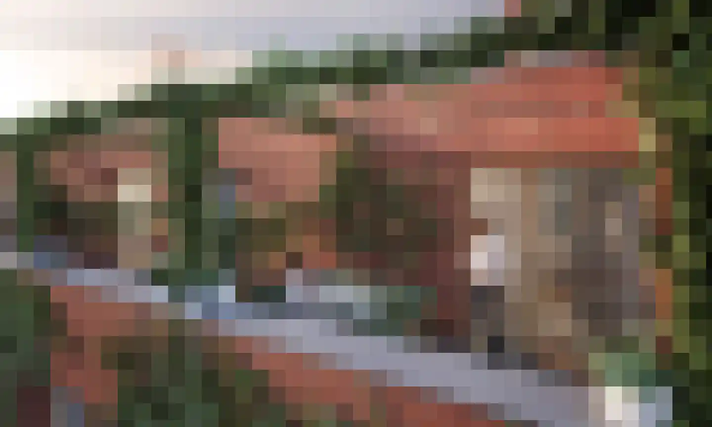 Meerluststraat 282 Amsterdam thumbnail 10