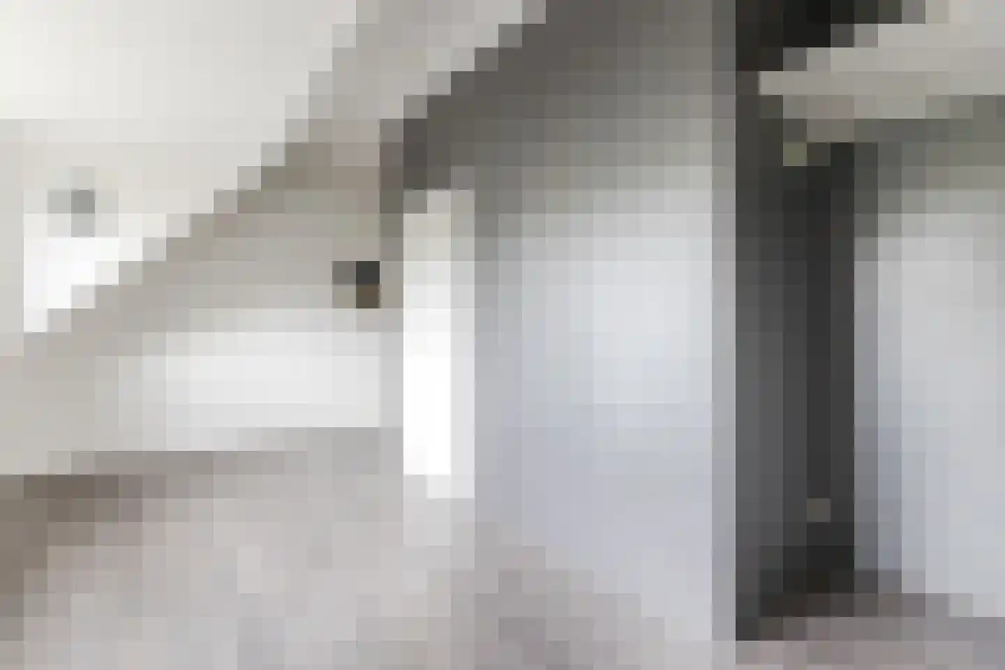 Meermanstraat 77 Hoofddorp thumbnail 37