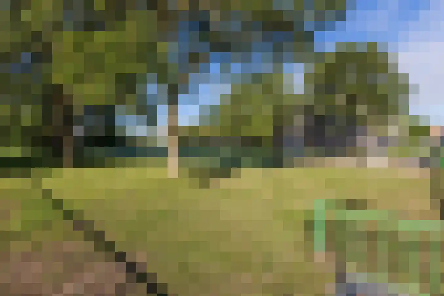 Meermanstraat 77 Hoofddorp thumbnail 52