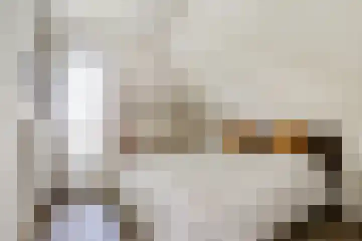 Meermuidenseweg 7 Twello thumbnail 23