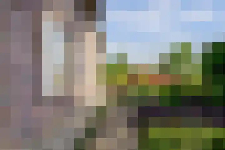 Meermuidenseweg 7 Twello thumbnail 29