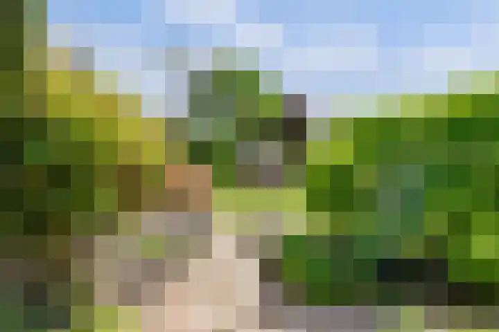 Meermuidenseweg 7 Twello thumbnail 33